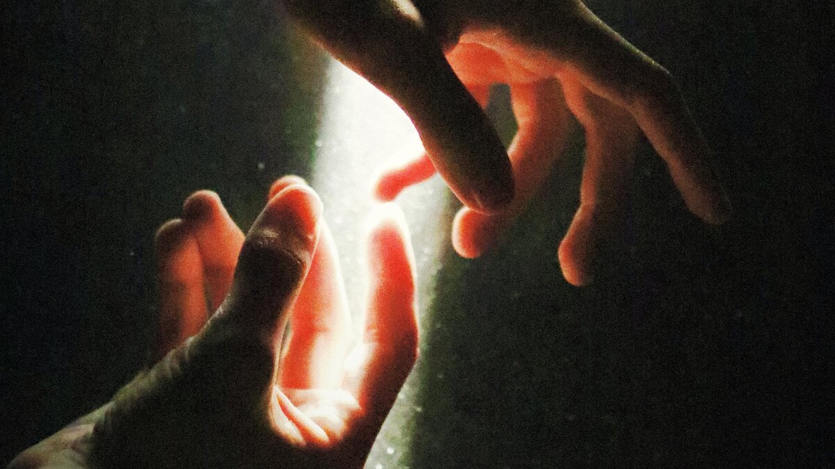 Фото: Elia Pellegrini/unsplash.com