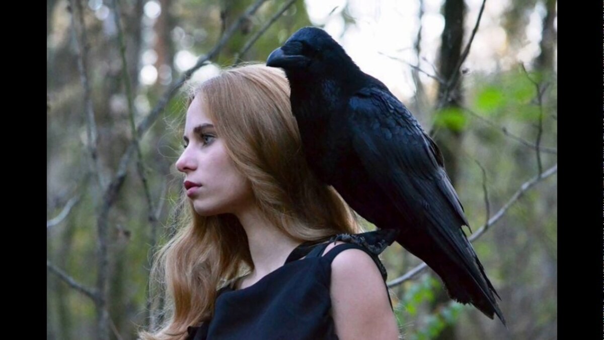 Фото из свободного доступа