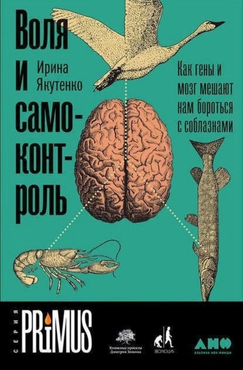 10 отличных книг по нейробиологии - изучаем, как работает наш мозг | Книги  и психология✨ | Дзен