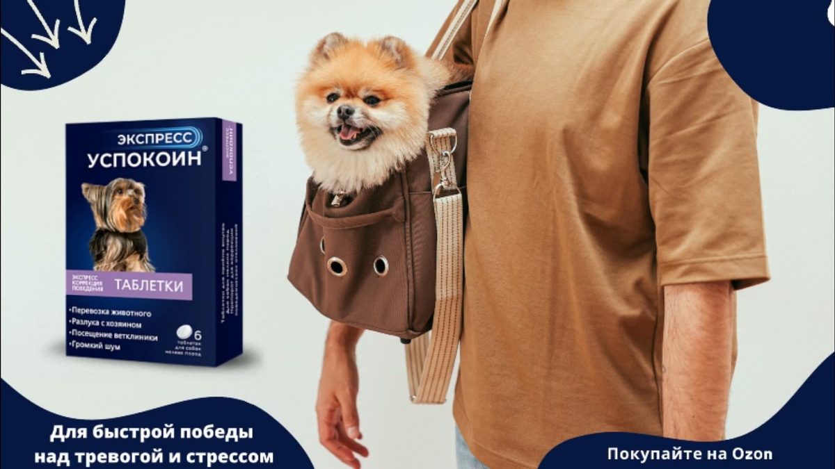 Экспресс Успокоин для собак мелких пород