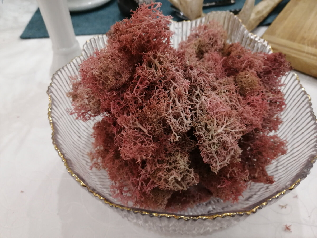 Чипсы из ягеля вкус севера. Чипсы из ягеля. Чипсы из ягеля производитель. Чипсы из ягеля. Чипсы из ягеля.