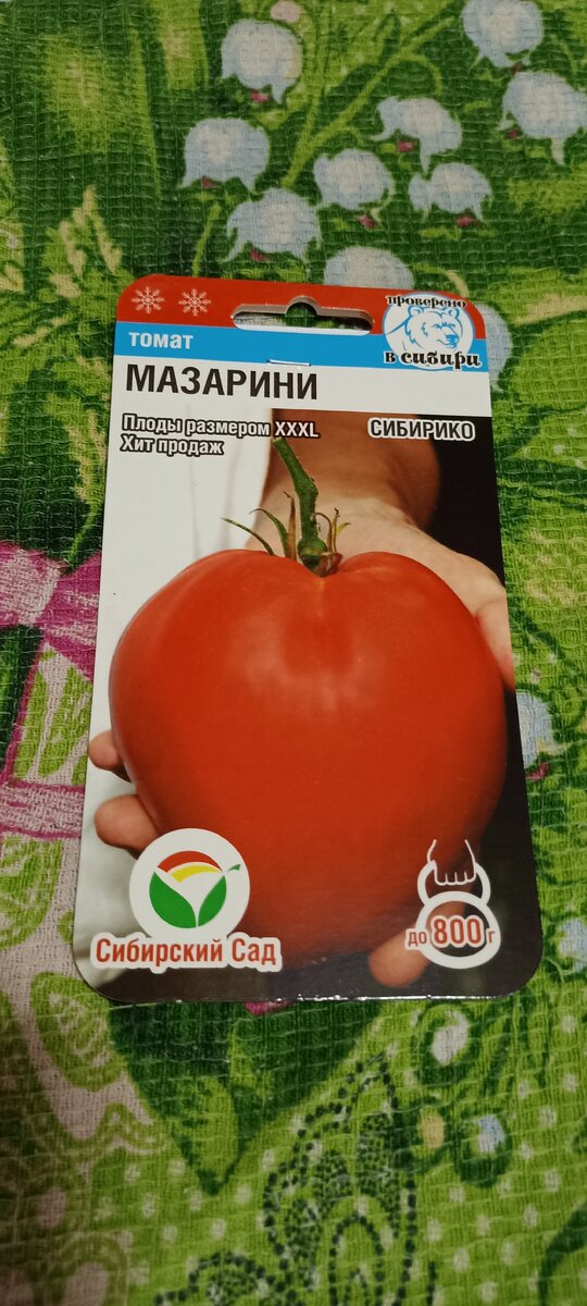 Фото из личного архива. 