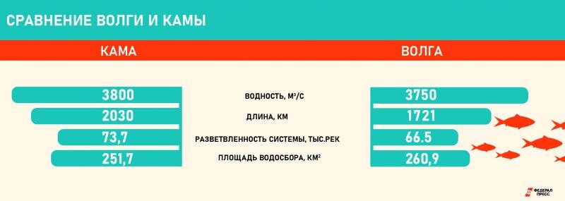 Волга и Кама в цифрах/ © fedpress.ru