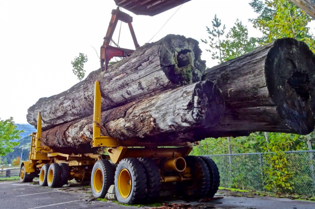    Экс-сотрудника ДПС судят в Хабаровском крае за взятки топливной картой