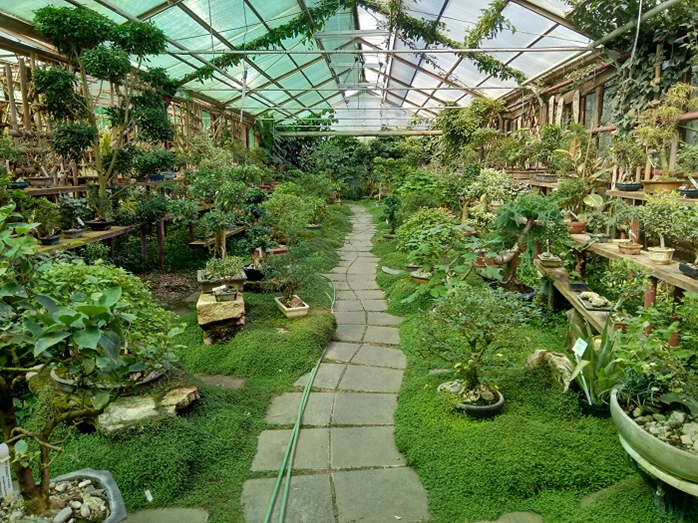 Красная Нива - Flower Store in Долгопрудный