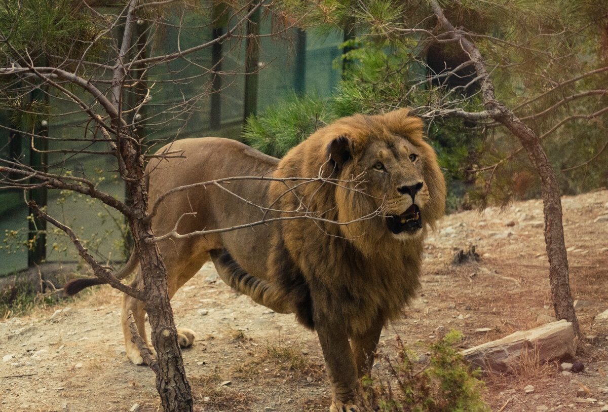 Фото автора статьи