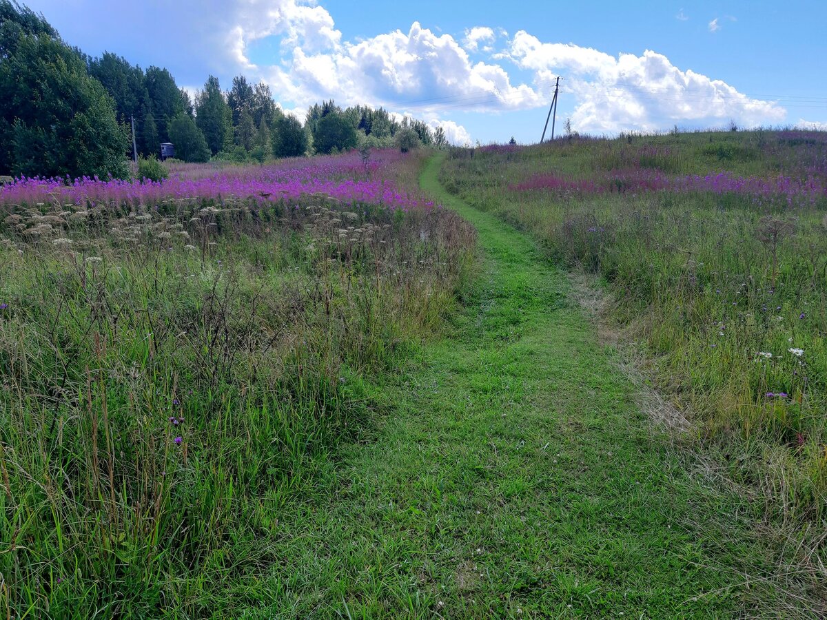 Вход на тропу.