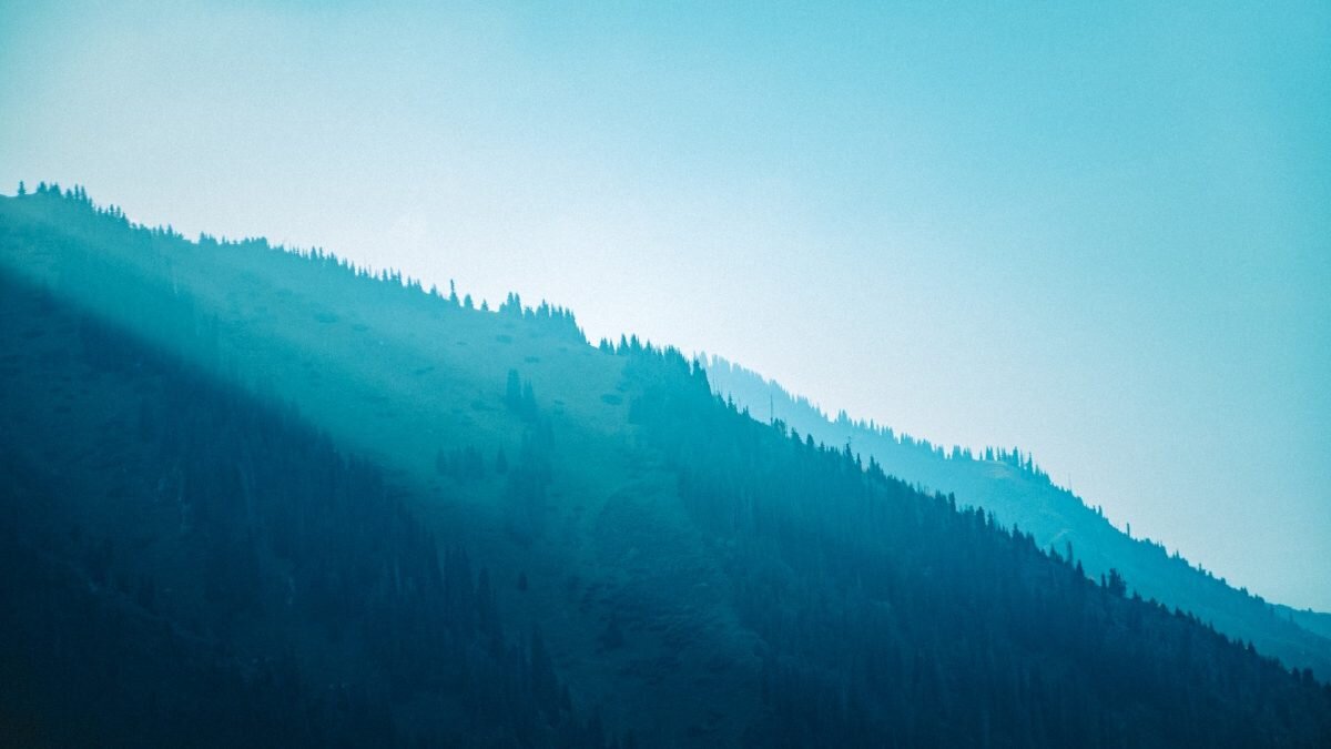    Фото: Unsplash Август Макаров