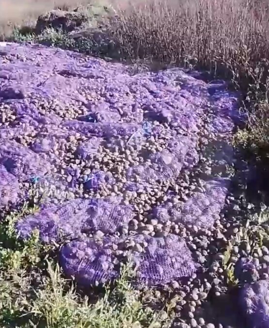 Скрин видео ТГ-канала «Русская Община ZOV».

