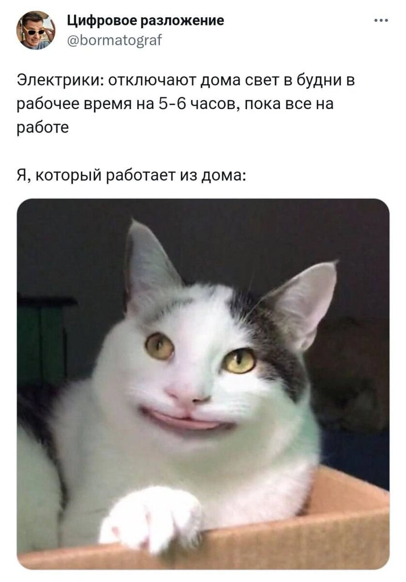 Также соседи, которые сверлят, "пока все на работе": БЗЗЗЗЗ