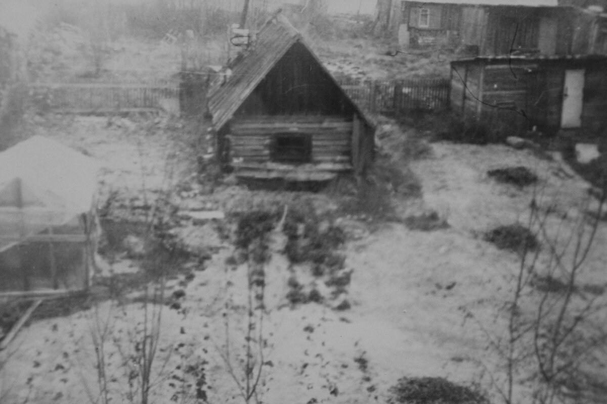 ФОТО С КРЫШИ НАШЕЙ ДАЧИ НАЧАЛО 90х