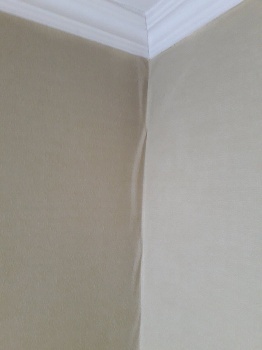 дорогостоящая клеящий разделишь колеблемый