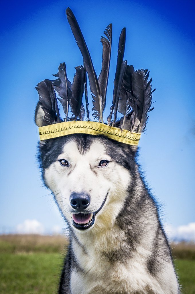 Знакомьтесь - Персик