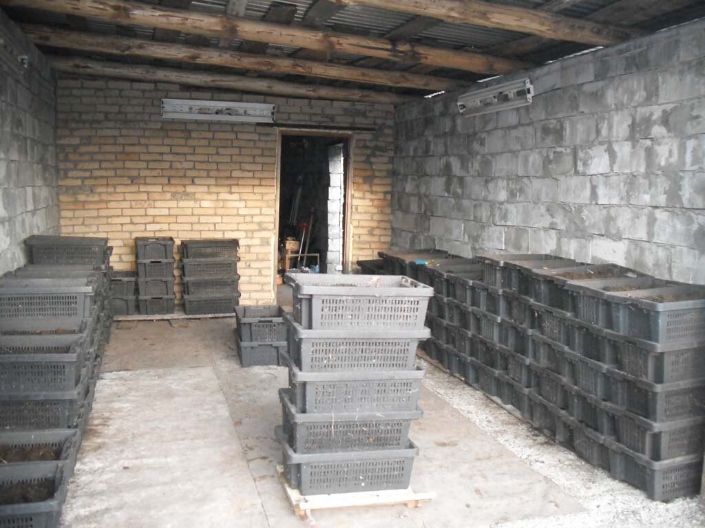 Вот так выглядит вермиферма. Источник: moya-dacha.net