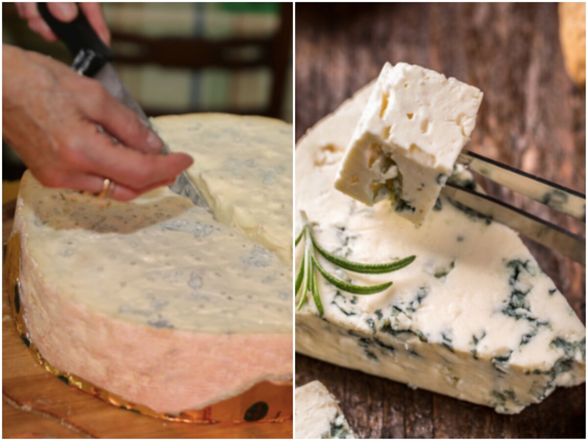 Итальянский сыр горгонзола