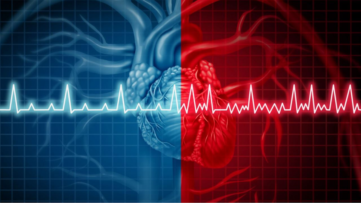 CardioComm выводит на рынок новый портативный ЭКГ-прибор 