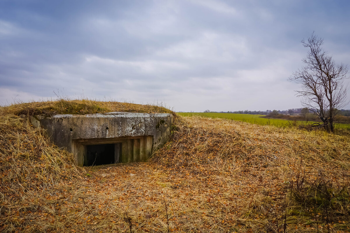 Вражеского дзота. Тираспольский укрепрайон 1941. Дзот РККА. Бетонный ДОТ Pillbox.