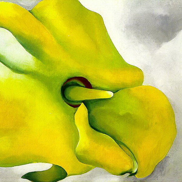 Джорджия О'Киф. Желтая канна. Источник - artchive.ru