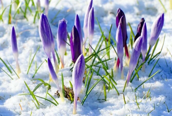 Источник фото yandex.ru