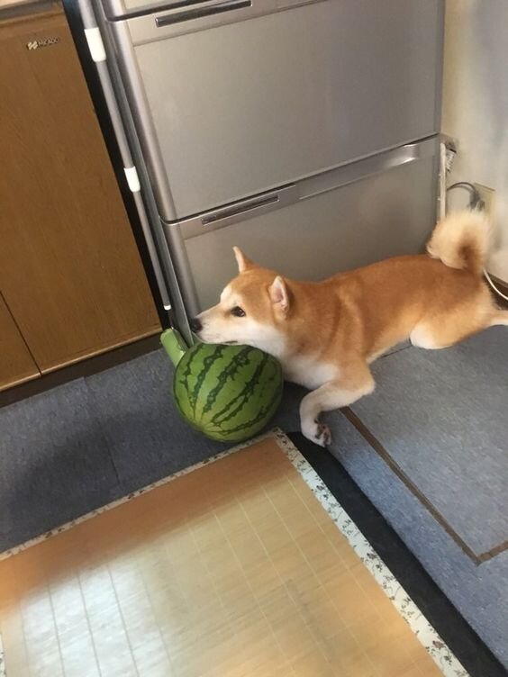 источник фото google images