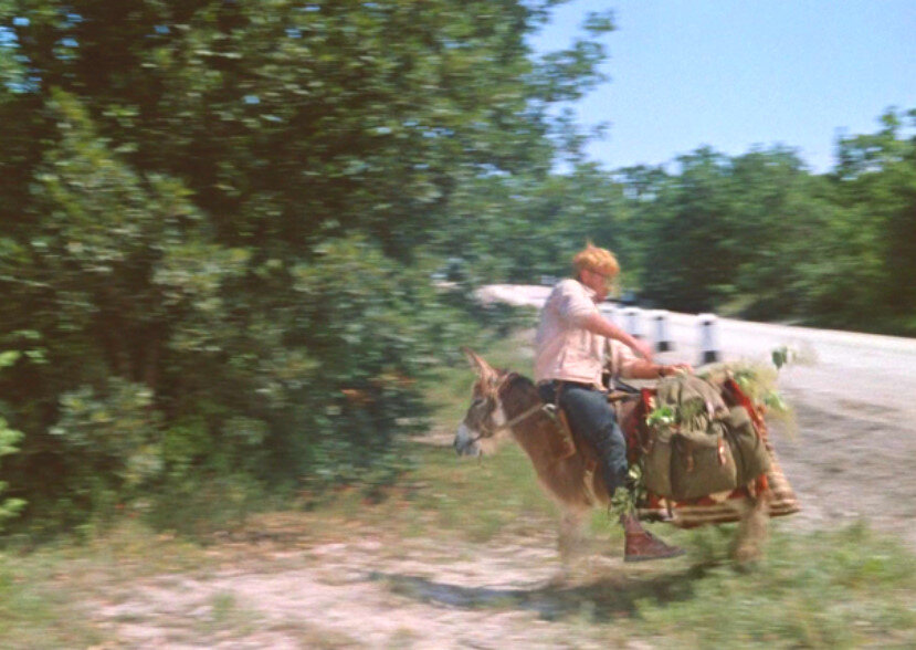 Кадр из фильма "Кавказская пленница"                         