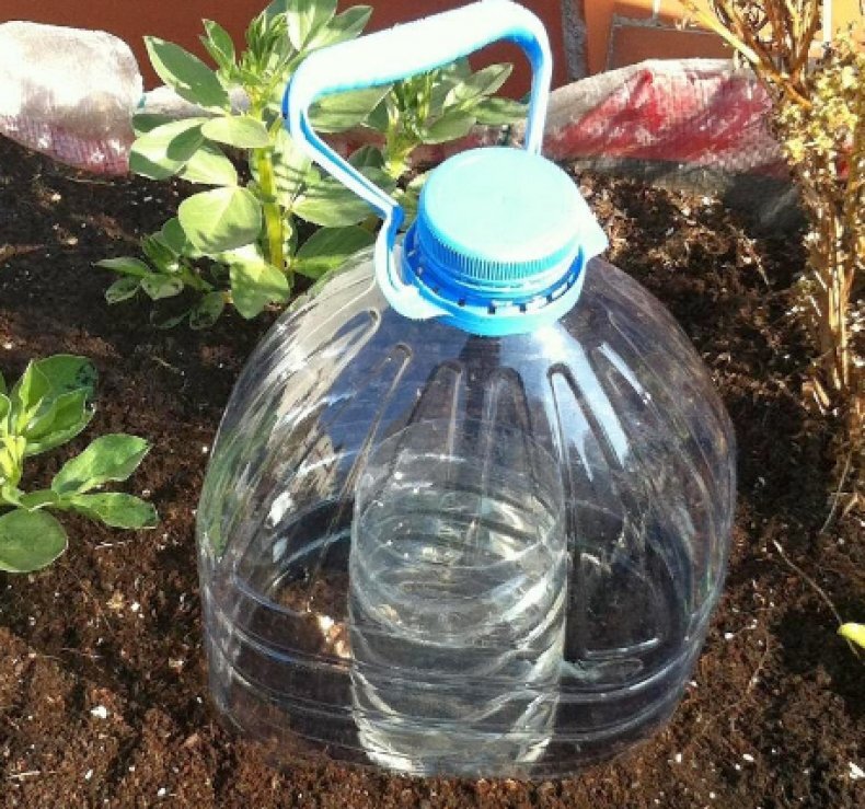 Применение пластиковых бутылок для полива огорода и сада