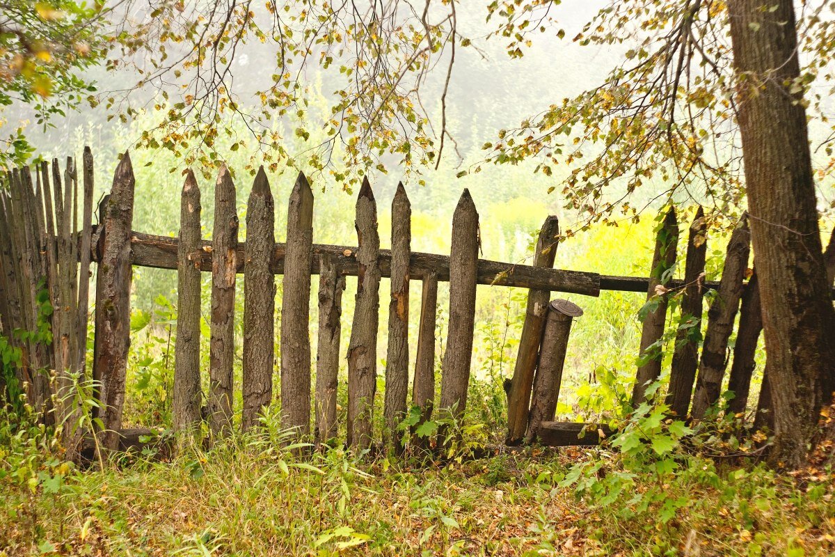 высокий деревянный забор раст фото 76