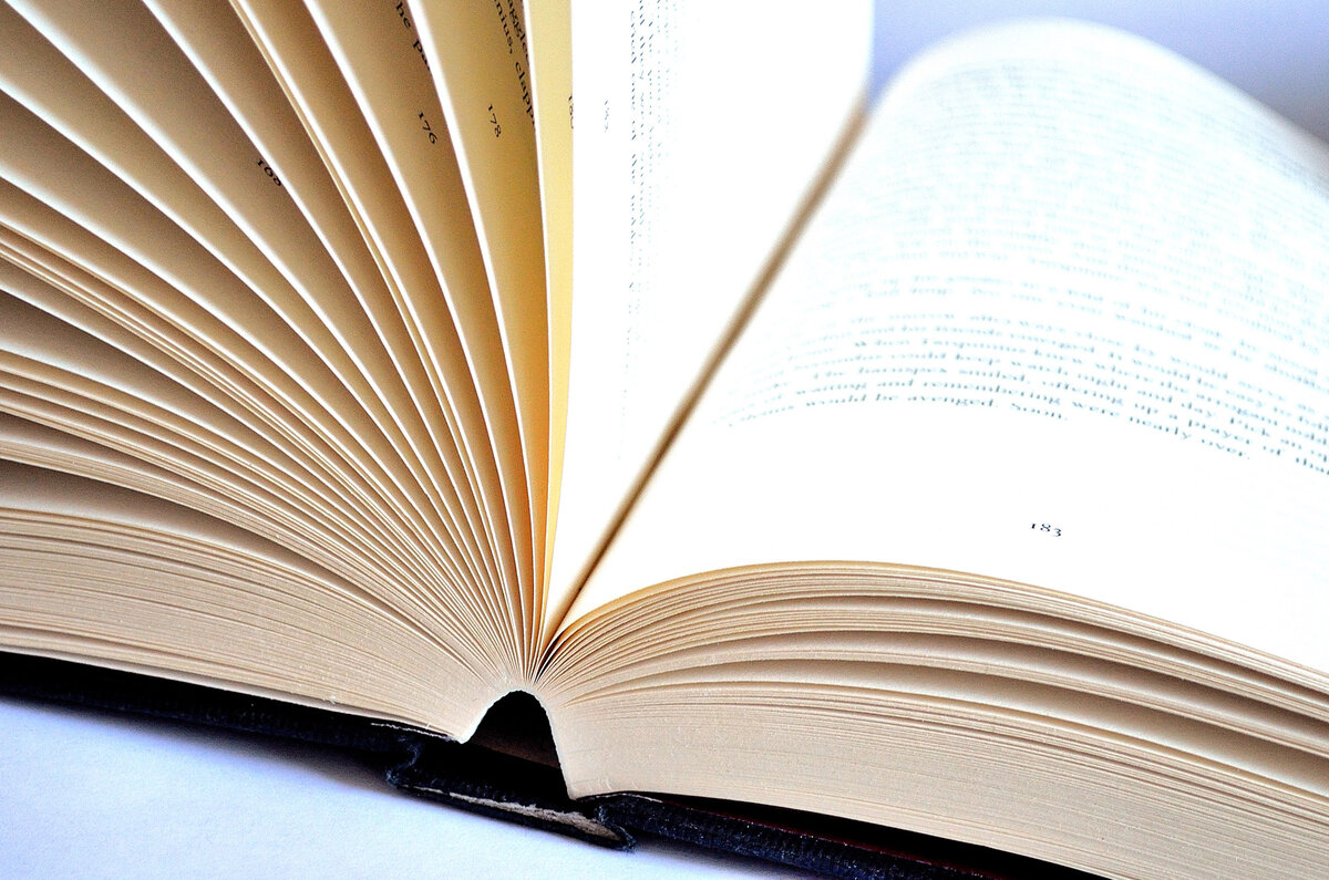 Цвет страниц книги. Фон книги. Страница книги. Книжный фон. Страница книги фон