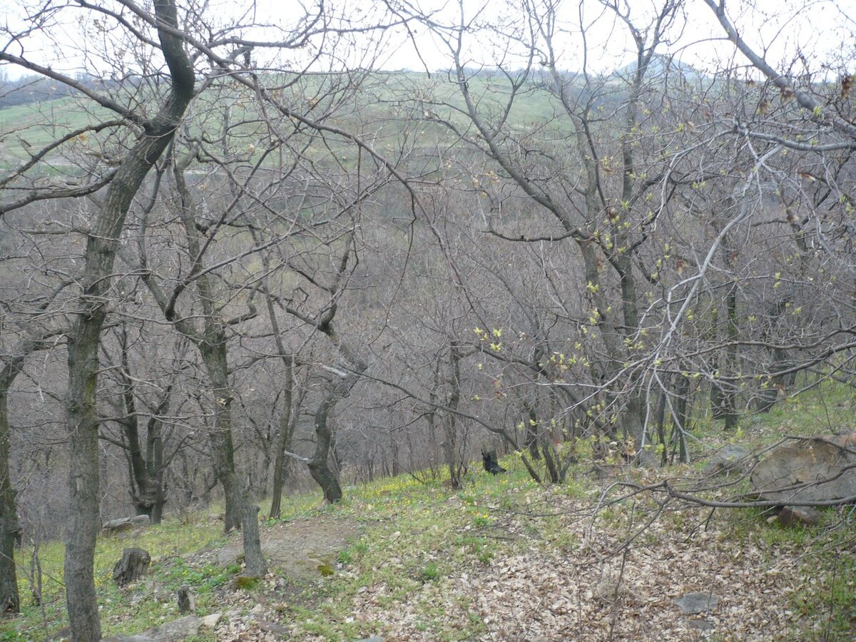  Фото из личного архива автора. Новороссия, Боково-Платово 