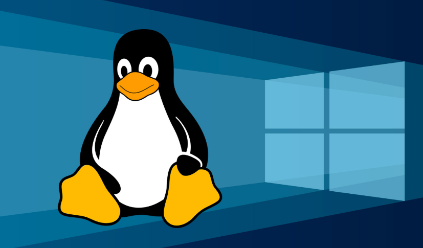 Источник: https://www.atulhost.com/wp-content/uploads/2018/05/install-linux-windows-computer.jpg?w=640