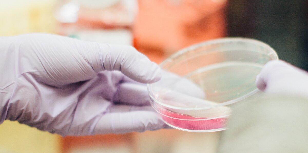 Photo by Drew Hays on Unsplash   https://unsplash.com