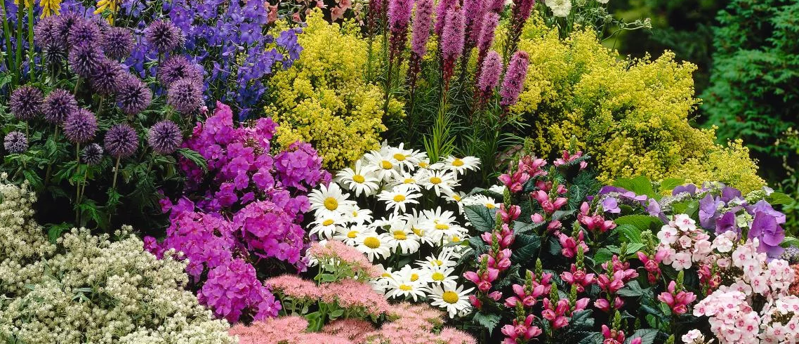 Фото с интернета