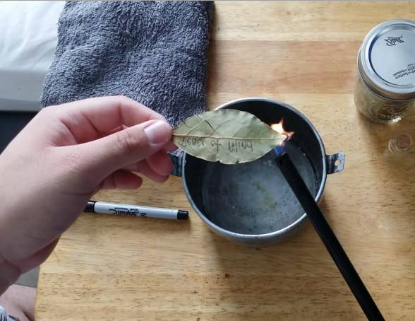 Лавровый лист. Народный способ бросить курить