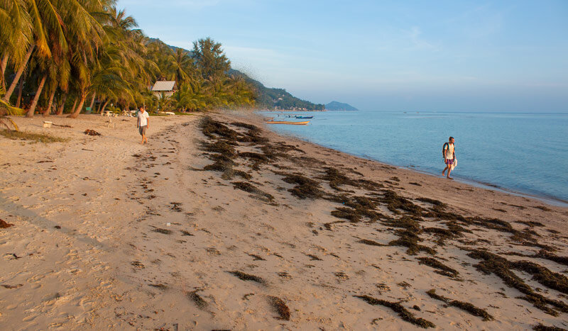 FAQ Koh Phangan