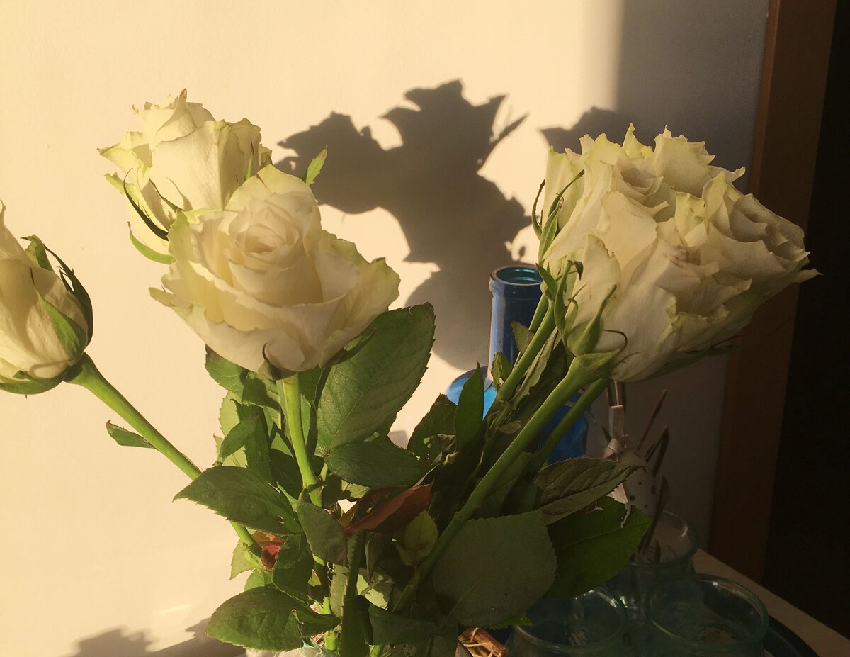 Фото: Piano Piano (стандартная охапка любых цветов в Италии – десять штук)