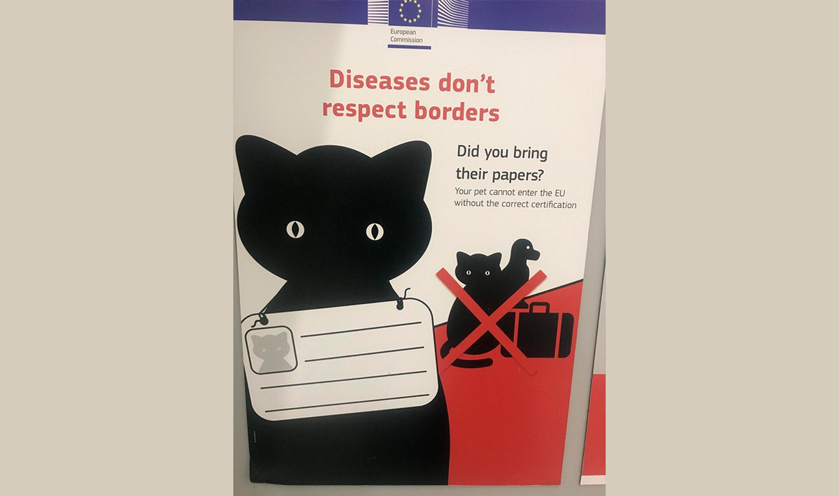 Напоминание в аэропорту Праги о том, что даже самым милым животным нужны документы