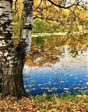 нежно  в     детство      позовет через   речку    -    через    брод...
Босиком...    и   -    по      песку,- по  траве -  пешком    к    леску..