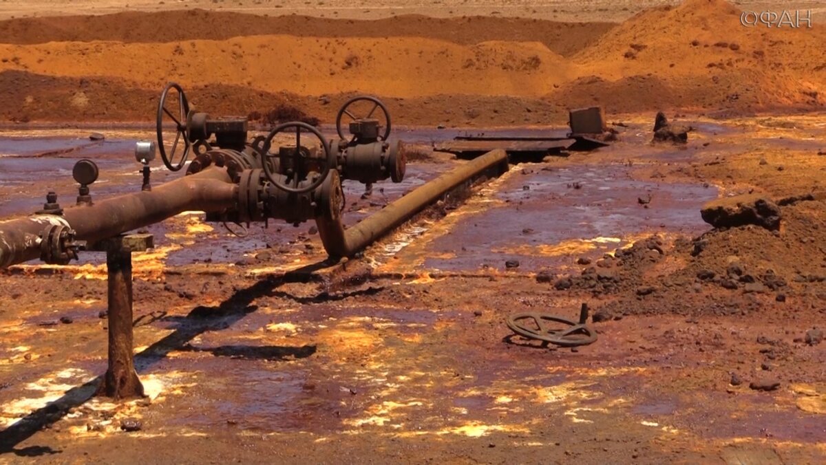 Изображение: static.riafan.ru