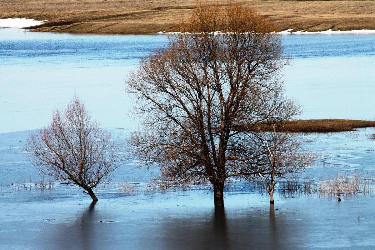 Фото из личного архива( воспоминания о родных местах)