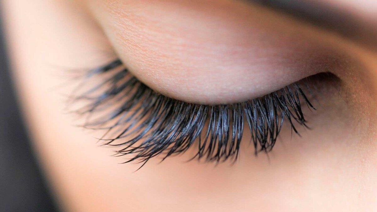 Изображение взято из открытых источников Яндекс. Картинки