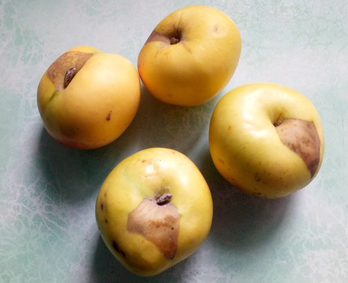 Крымское зимнее. Фото автора