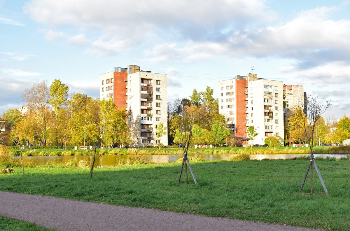 Купчино (исторический район). Купчинский сквер фото. Купчинский лес. Деревня Купчино Домодедовский район.