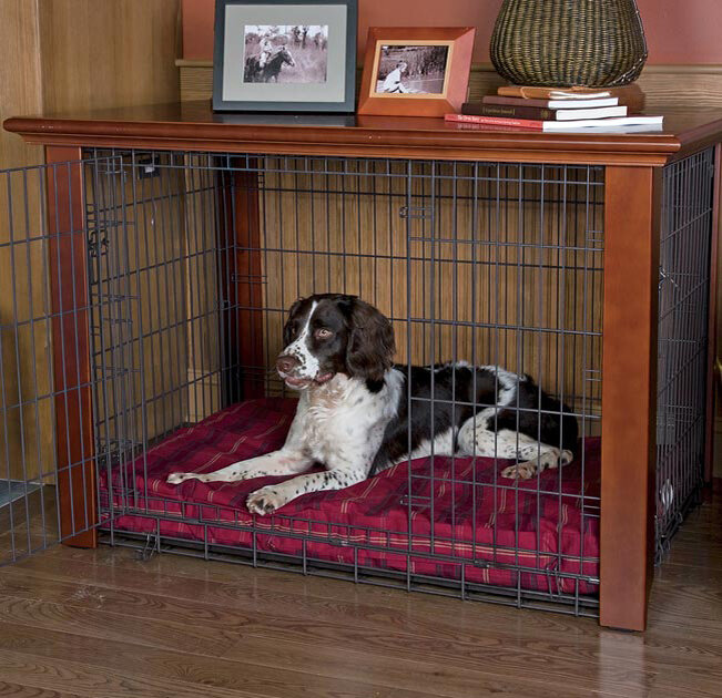 Яндекс. Картинки.