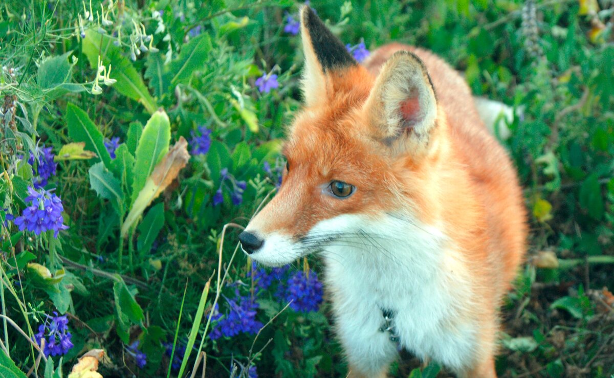 фото из моего личного архива