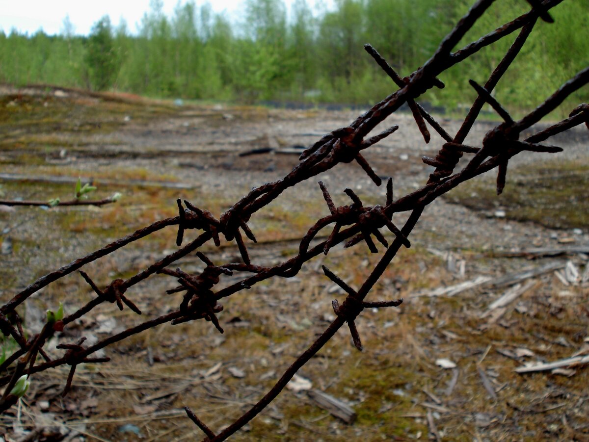 Ржавая колючка по периметру.