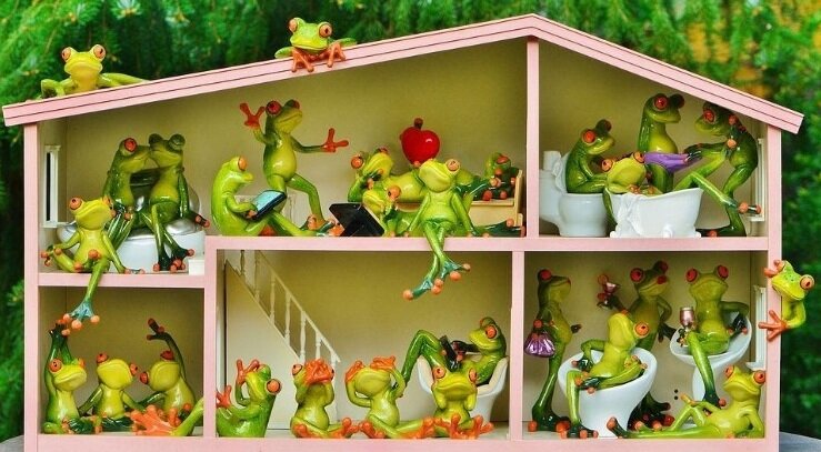 Фото из открытого источника.