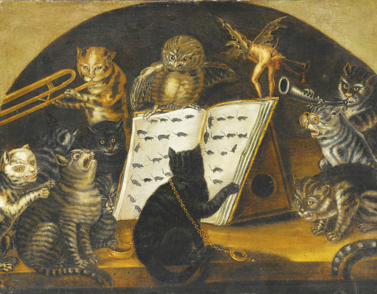 Какую музыку любят кошки? | Котская жизнь | Дзен