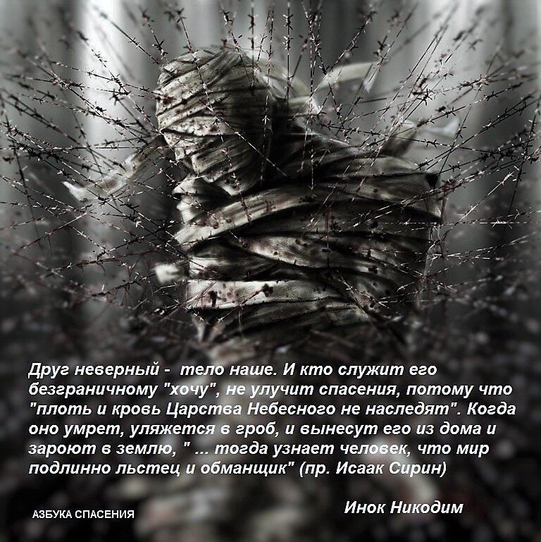 карло досси цитаты. неверный друг. грустные цитаты про дружбу. высказывания о дружбе. цитаты про неверных друзей.