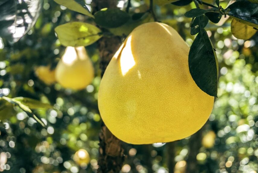 Фото: unsplash.com  