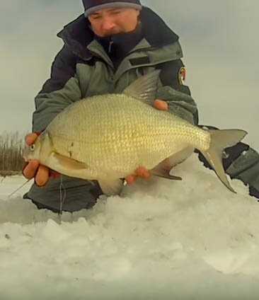 А.Калачев - лещ на комбайн